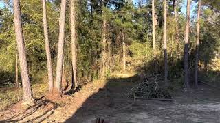 Land clearing update 10/29/21 by Fifty-something and FABULOUS 12 views 2 years ago 19 seconds