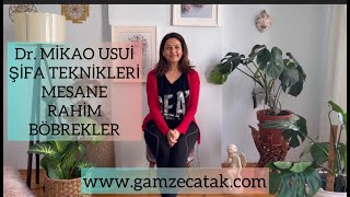 Dr. USUİ ŞİFA TEKNİKLERİ / USUİ REİKİ RYHO / MESANE-RAHİM-BÖBREKLER