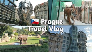 Prague Travel Vlog 🇨🇿 | Zoo | Dancing House | Head of Franz Kafka