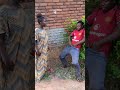Penzi Jipya Ep 1 Amapianotv Comedyfilms Amapianodancechallenge Funnycomedy Memes Video