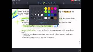 CH11 - The Nervous System & Nervous Tissue - Part 2 Details