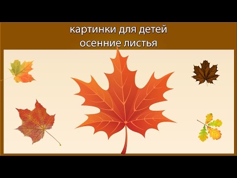 Картинки для детей осенние листья 1