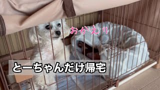 とーちゃんだけが帰宅したらどうする