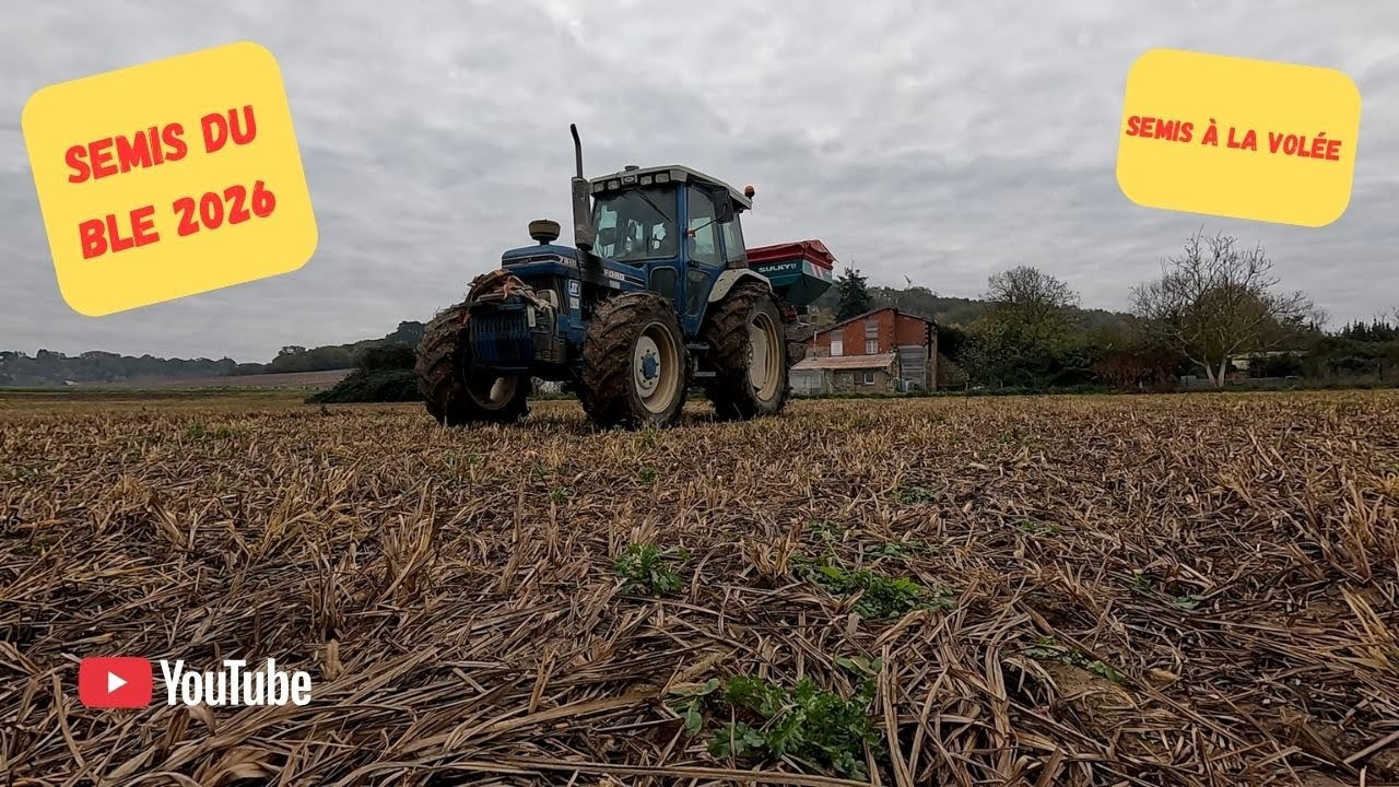 Semis du blé 2026