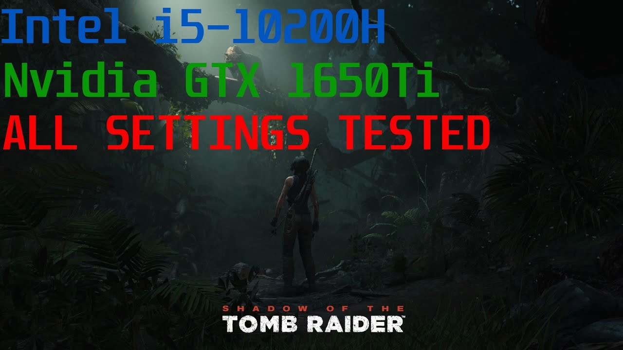 1650Ti 10200H - Shadow of the Tomb Raider - ALL SETTINGS TESTED
