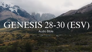 Day 9: Genesis 28-30 (ESV) | Audio Bible with written text | Bible in a Year