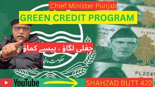Green Credit Program Punjab Dhowan Chhorne Wali Gaari Report Karein Aur Paisy Kmain Punjab Govt