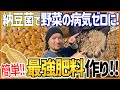 【家庭菜園】自宅で簡単にできる納豆菌を使った最強ぼかし肥料の作り方をまるっと紹介