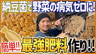 【家庭菜園】自宅で簡単にできる納豆菌を使った最強ぼかし肥料の作り方をまるっと紹介