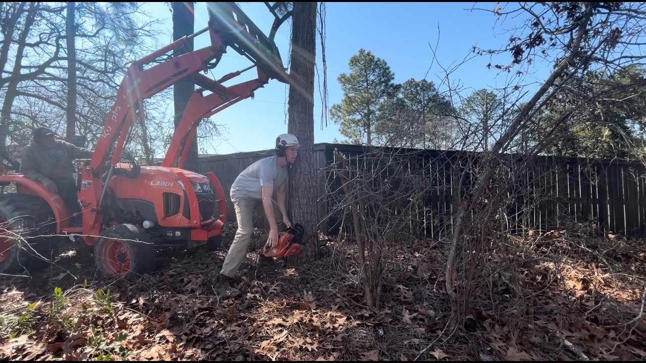 DEAD TREE REMOVAL : start to finish - YouTube