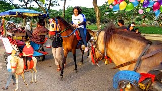 Kuda / Naik Kuda Delman Istimewah Tanah Kusir / Lagu Naik Delman Indonesia / Delman /Kuda Kuda Dokar