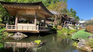 Daiyuzan Saijoji Temple