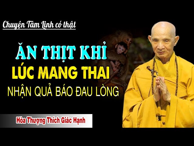 Chuyện Tâm Linh Ht. Thích Giác Hạnh 2023 - Mẹ Bầu Ăn Thịt Khỉ Nhận Ngay Qủa  Báo Đáng Sợ Đến Đời Sau - Youtube