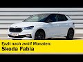 Skoda Fabia Für Alle Fälle Dauertest Fazit ÖAMTC Auto Touring