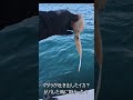 バラした魚から“謎のイカ”が出てきた #釣り #ジギング #深海 #イカ #Shorts