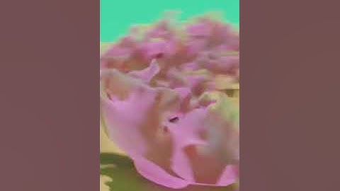 Coral modeling blender
