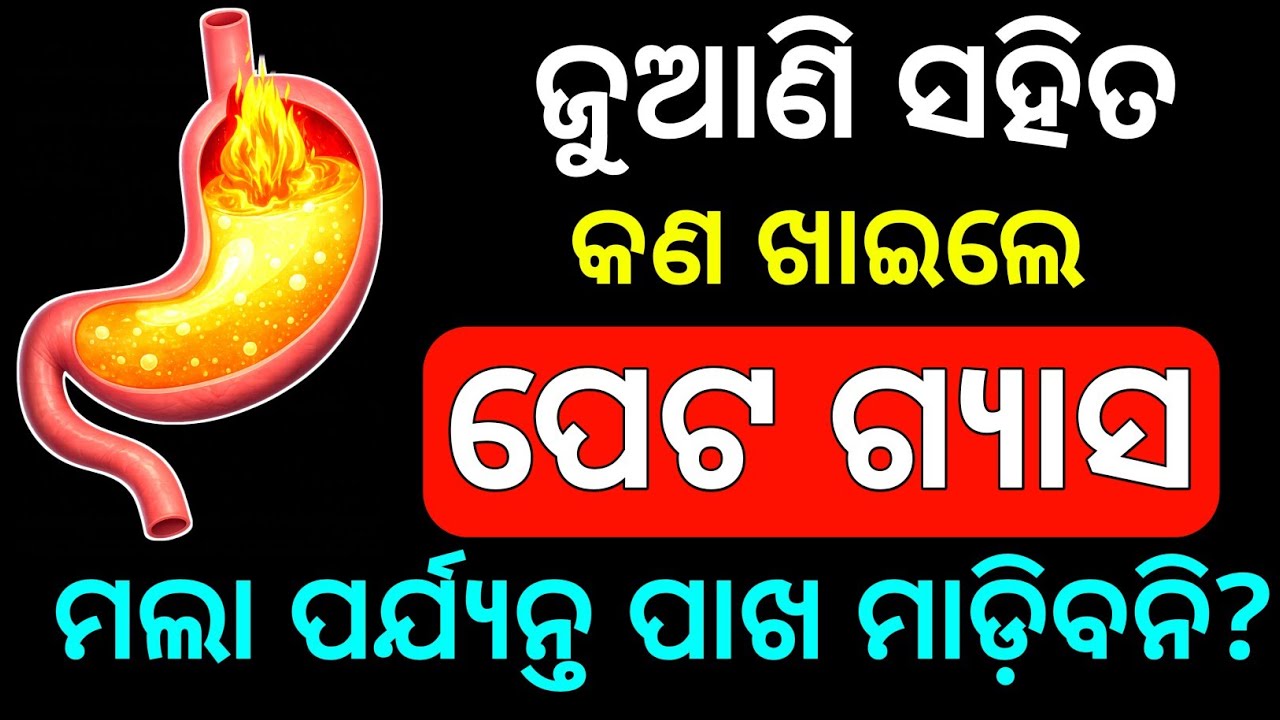 Daily GK Odia | 2026 Fast GK Quiz | Check Your Knowledge