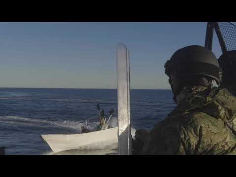 Collision at Sea as Sea Shepherd Vessels Attacked in Mexico&#039;s Vaquita Refuge