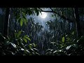 🔴 Live 🌿 Rain Forest Ambience For Sleeping Deeply Relaxing The Mind, Body All Night Without Stress