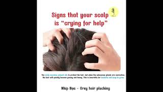 📍Sings that your scalp is &quot; crying for help