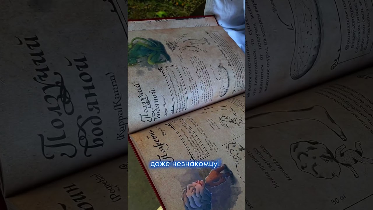 Эта книга подойдет для любого человека! 