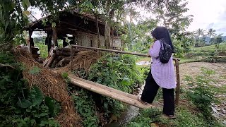 Suasana Sore di Saung Sawah Begitu Indah