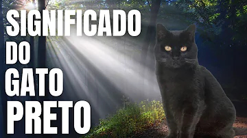 É verdade que o gato preto dá azar?