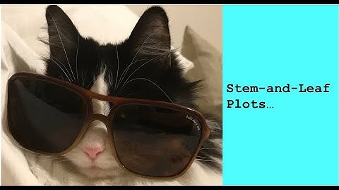 Stem and Leaf Practice