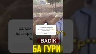 Badik Nev   Сари Гури Лайли  2024
