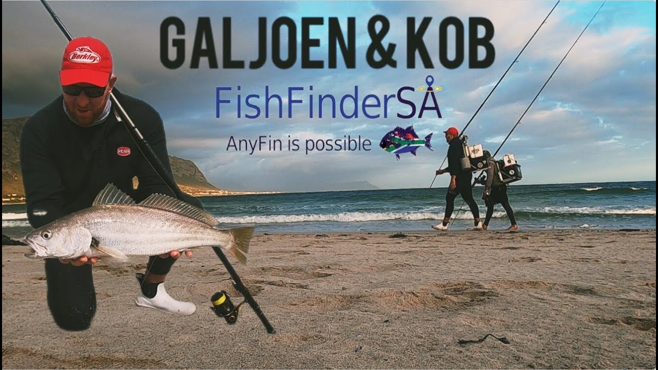 ЗДРАВСТВУЙ, ЛЕТО! Представляем Fishfindersa