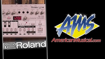 Roland TB-03 Synthesizer Overview - Roland TB-03 Boutique Series Bass Line Synthesizer