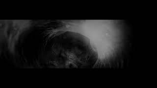 Odraza - Acedia [TEASER]