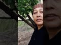 सुबह शाम खेतों में घूमना अच्छा लगता है ||#youtube #phadilifestyle #eveningwalks  #nature