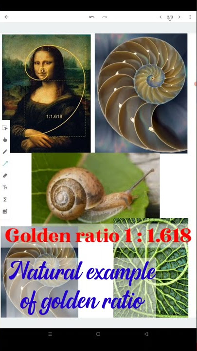 Golden ratio #shorts