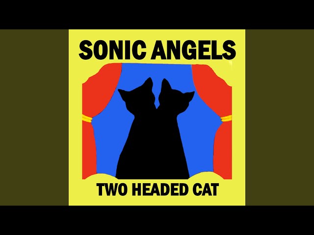 Two Headed Cat