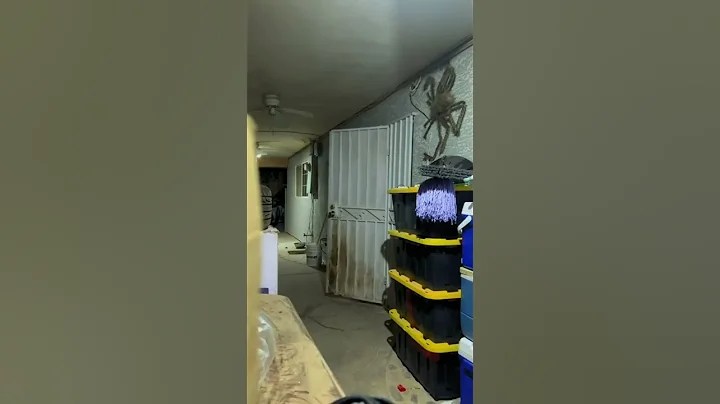 This is CRAAAZY! #spider #prank #mom