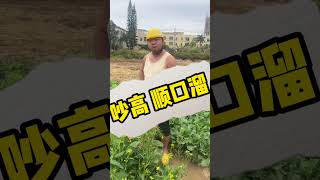 客家順口溜（蔬菜篇）我草率了！ 