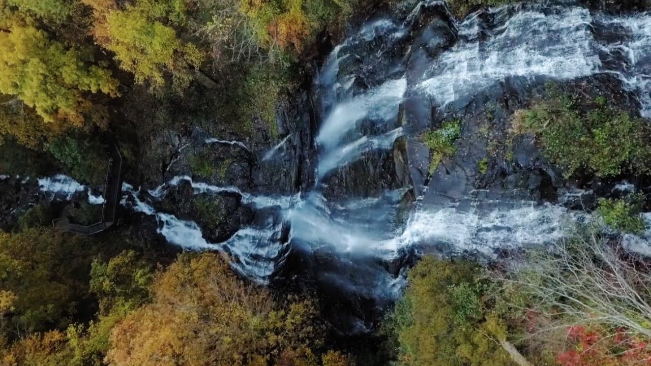 Kit Vinsick Director's Reel