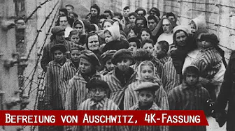 Die Befreiung von Auschwitz (4K-Dokumentation, 1988)