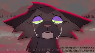 Needletail & Violetpaws Bond