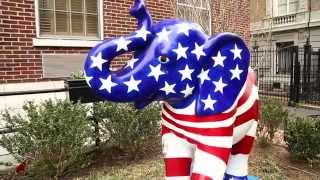 Summer In: The IOP Summer Internships Program