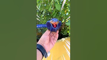 Remote Wala Snake 🐍