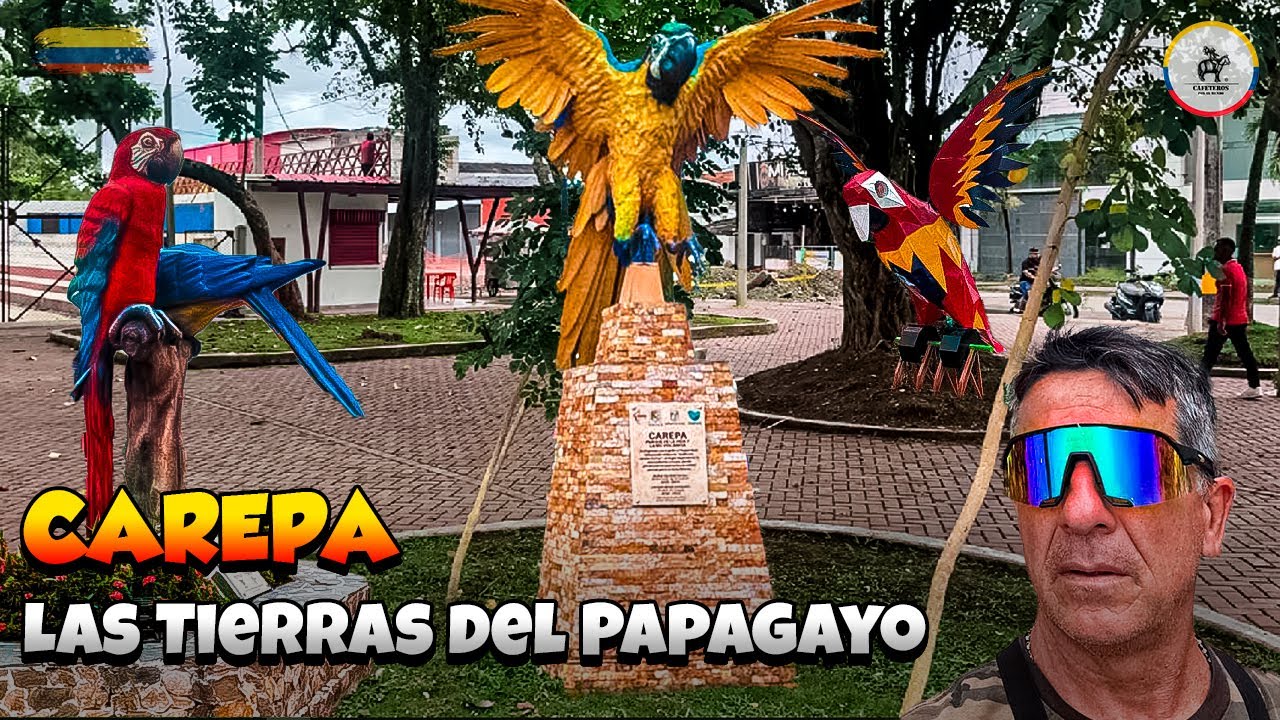 El “Loro Pequeño” 🦜 del Urabá - Carepa