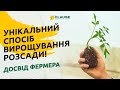 УНІКАЛЬНИЙ СПОСІБ ВИРОЩУВАННЯ РОЗСАДИ: ДОСВІД ФЕРМЕРА