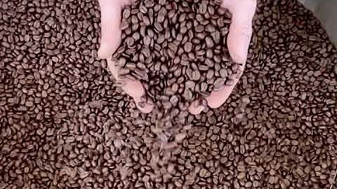 Hands thru beans