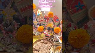 Makarsakranti Shattila Ekadashi