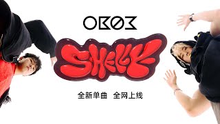 SHELLY 歌曲简介 (Official Music Video)