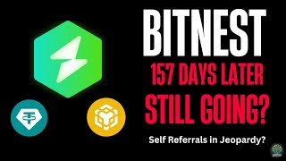 Bitnest - 157 Days Later... Self Referring Issues?(Update in Pinned Comment) Wealth