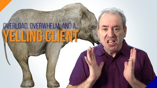 Overload, Overwhelm, and a Yelling Client (Bullying)