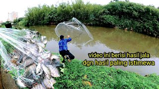 Kumpulan video Jala ikan di sungai dengan hasil yang banyak || jala ikan di muara